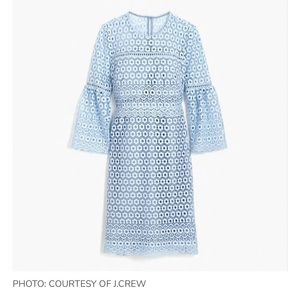 J.Crew Bell-Sleeve Daisy Lace Dress